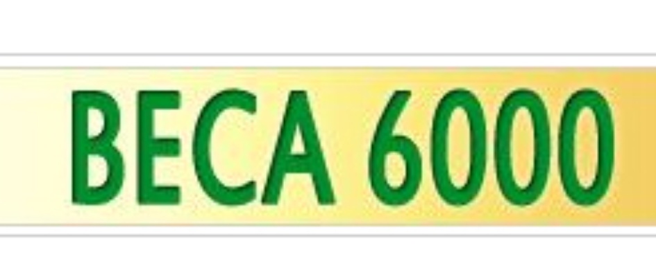 beca6000.jpg