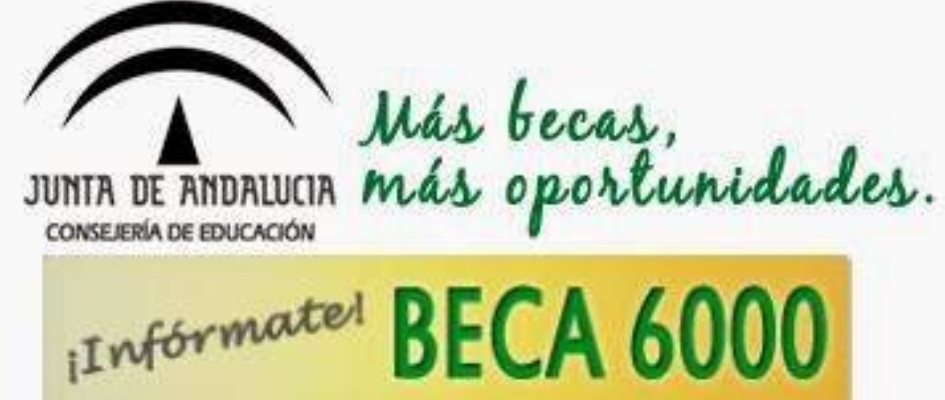 becas-6000-2012-2013-771397.jpg