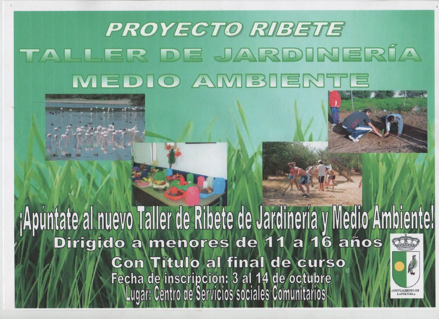 Proyecto Ribete