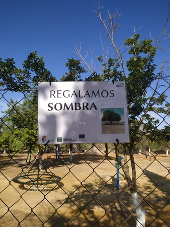 WhatsApp Image 2019-07-11 at 08.27.55 (2)-001cuidado arboles