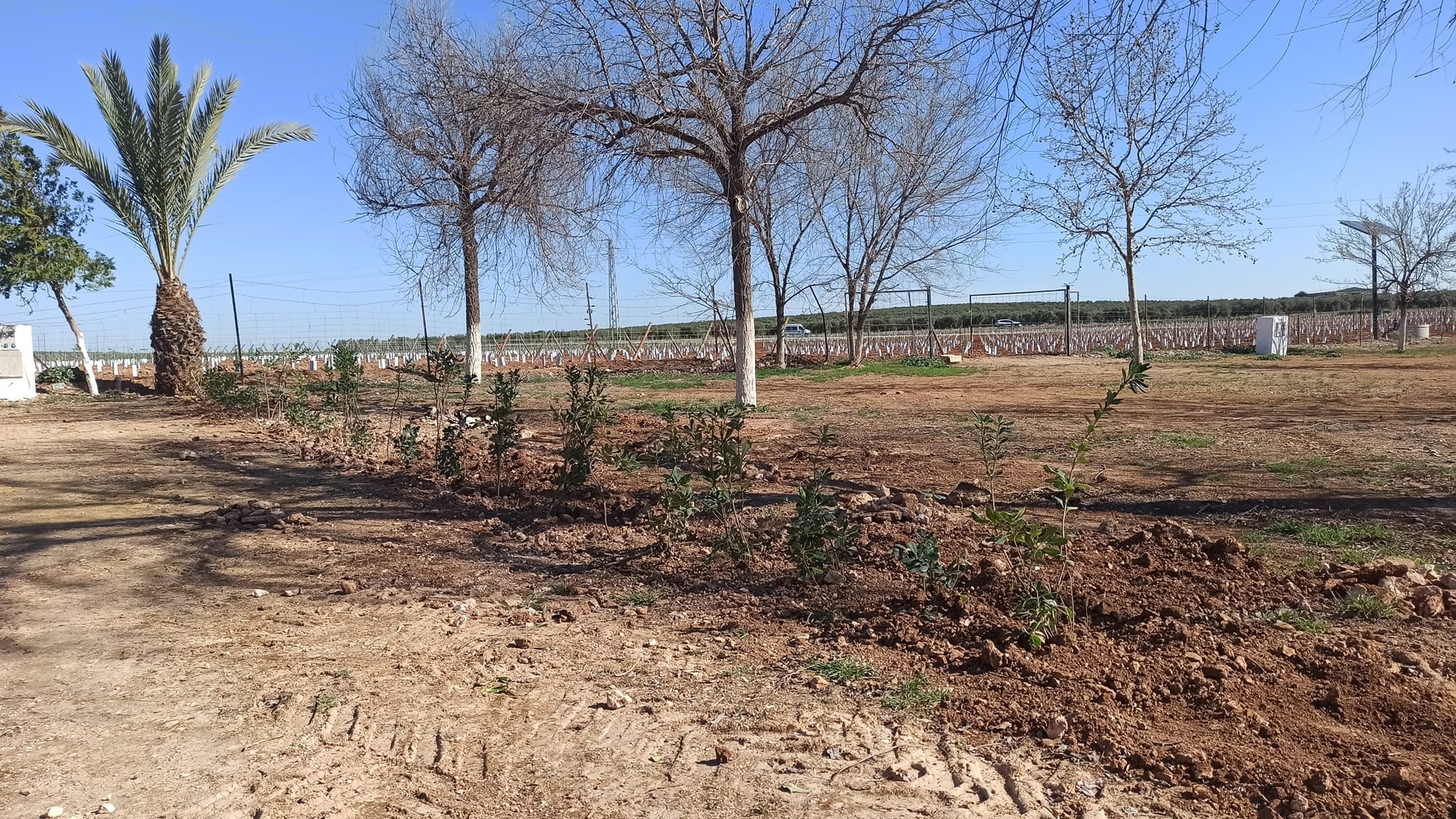 337140156_201223945935778_2248913074361971133_n