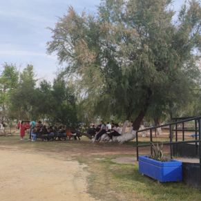 342513123_3399256373642537_8195784855281968387_n