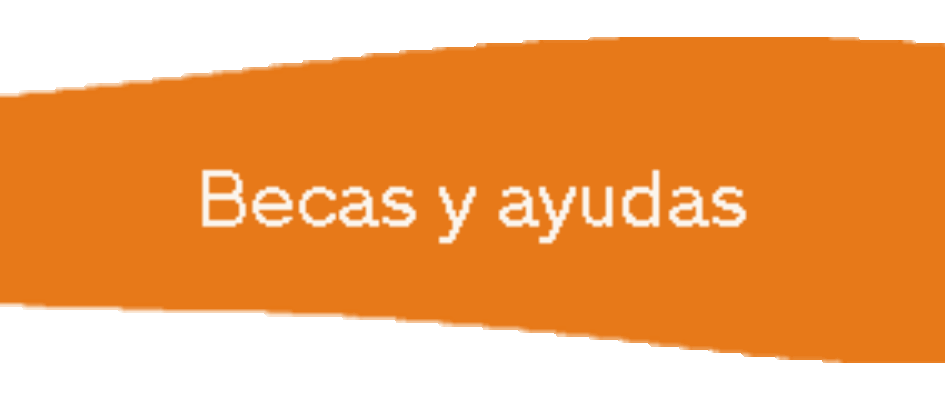 Becas_y_ayudas_Nbanner1.gif