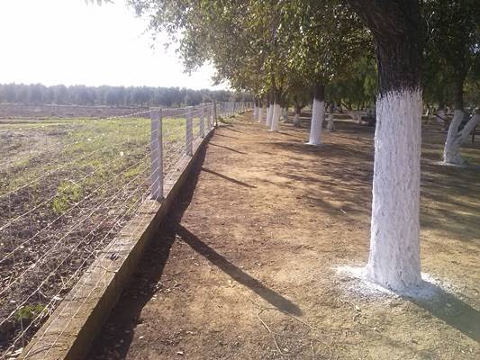 CAM00962avenida y cementerio