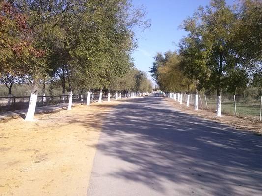 CAM00968avenida y cementerio