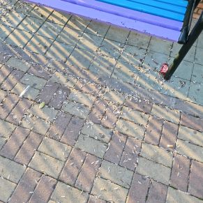 656913039_1367951615377262_1104976296288177475_n