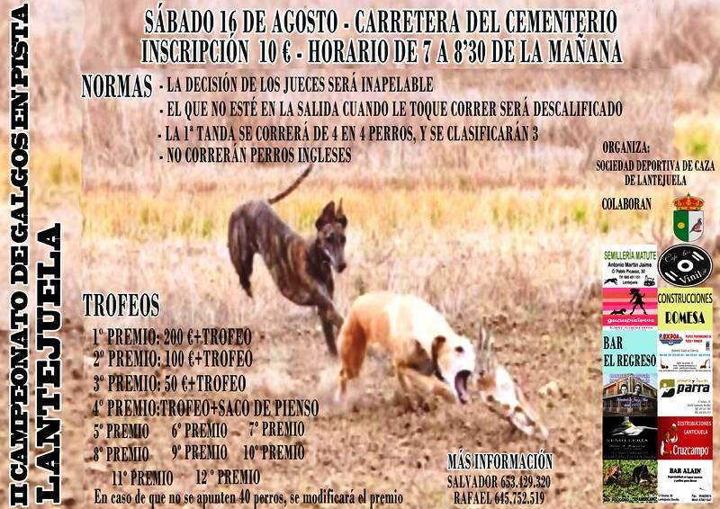 CARTEL GALGOS web