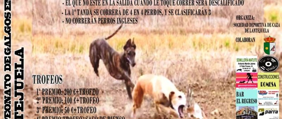 CARTEL_GALGOS_web.jpg