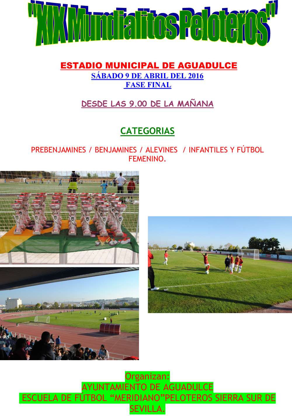 CARTEL MUNDIALITOS 2016 FINALES AGUADULCE