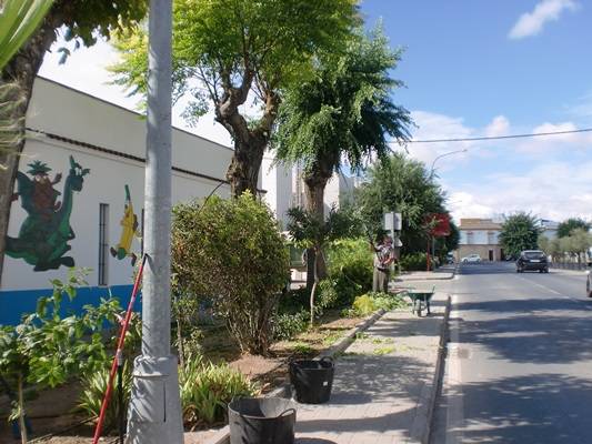 CIMG7195Zonas verdes