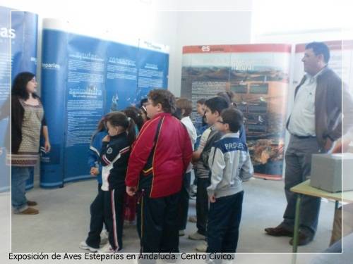 CIMG7674aves estaparias