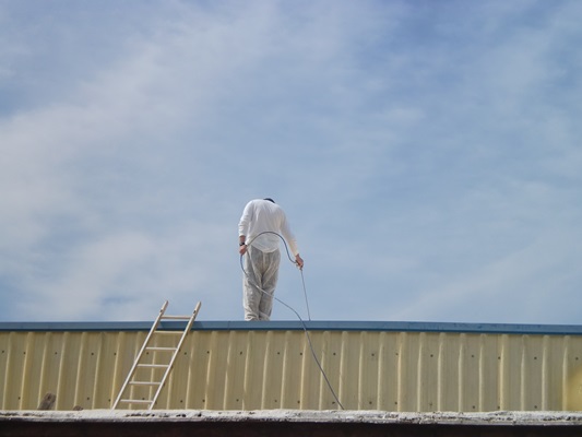 CIMG8500pintado de tejado pabellón