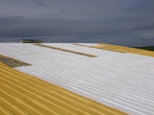 CIMG8514pintado de tejado pabellón