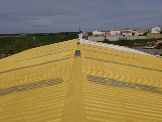 CIMG8519pintado de tejado pabellón