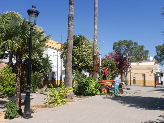 CIMG9282mantenimiento zona verde