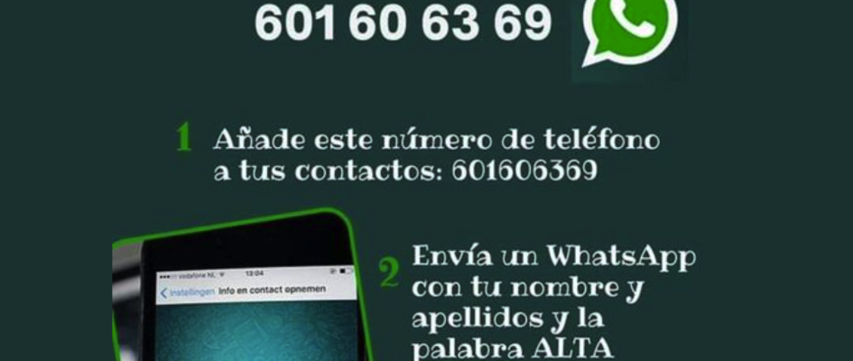 Captura de pantalla 2023-11-28 a las 13.02.59