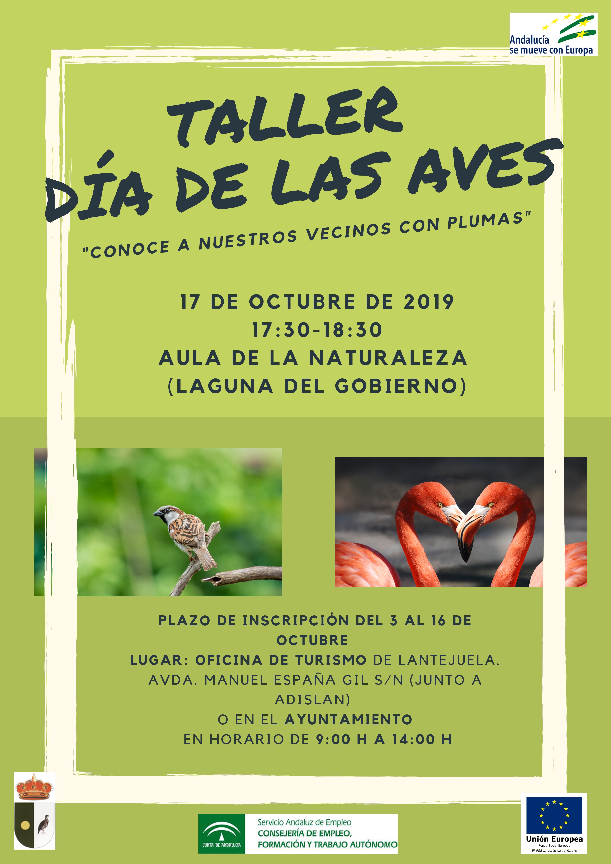 Cartel Aves modificado