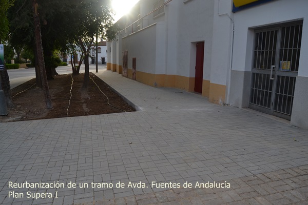 DSC_0673avenida