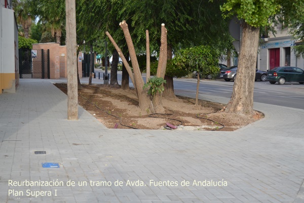 DSC_0676avenida