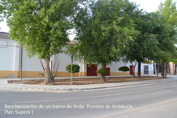 DSC_0680avenida