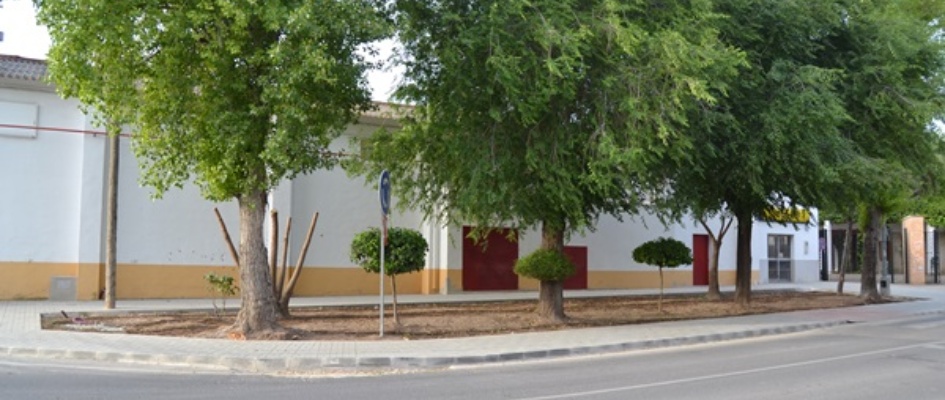 DSC_0680avenida.JPG