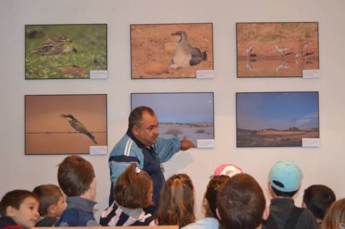 DSC_1524exposición life