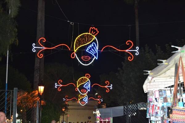 DSC_2120Encendido alumbrado