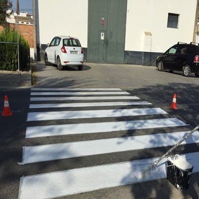 IMG-1056 RECORTADApasos