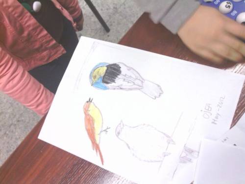 IMG-20140131-WA0008Humedales