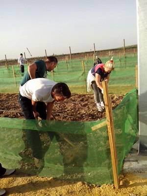 IMG-20141030-WA0010prácticas huertos