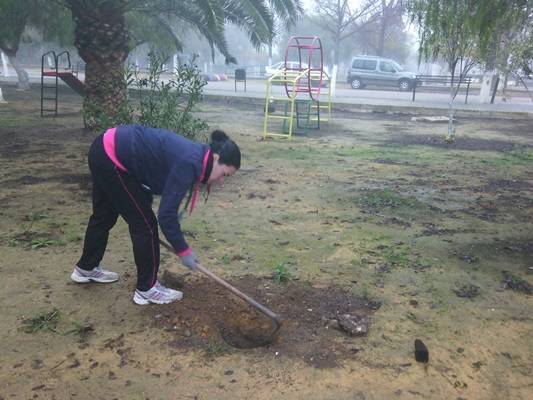 IMG-20141217-WA0001plantas