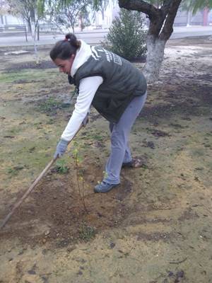 IMG-20141217-WA0002plantas