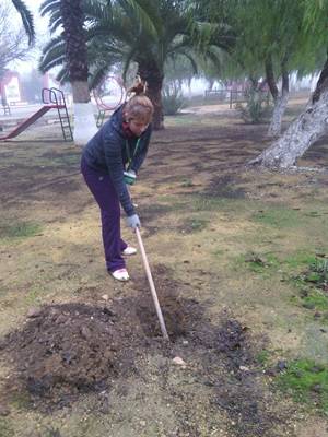 IMG-20141217-WA0004plantas