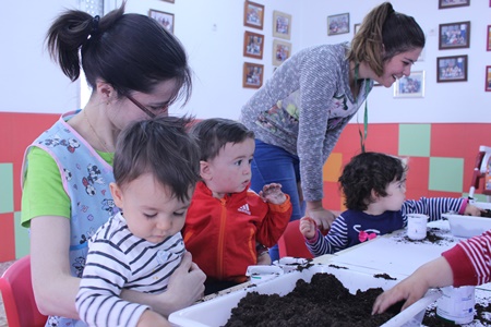 IMG_2954semilla guarde