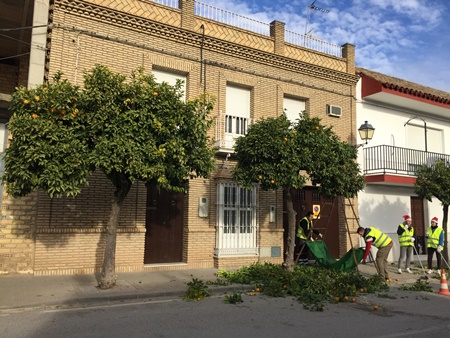 IMG_4483-003naranjos