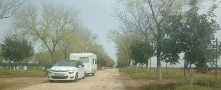 IMG_5425acampada aire libre