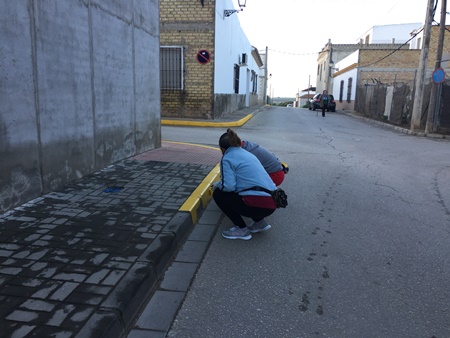 IMG_5609señales viales pintado