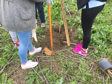 IMG_7682-001plantación