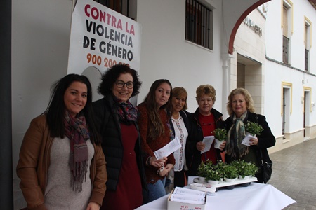 IMG_7682-001plantate