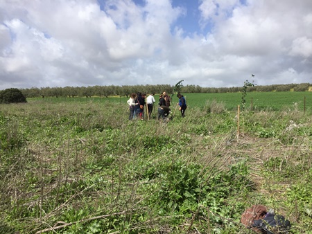 IMG_7690-002plantación