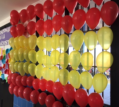 IMG_E4938constitucion