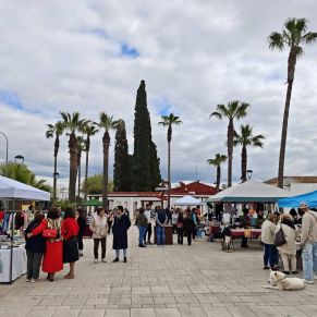 650071840_1361017619403995_1235409477156112575_n