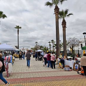 651068145_1361017699403987_2554048581605099885_n