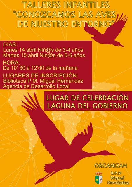 TALLER DE AVES web