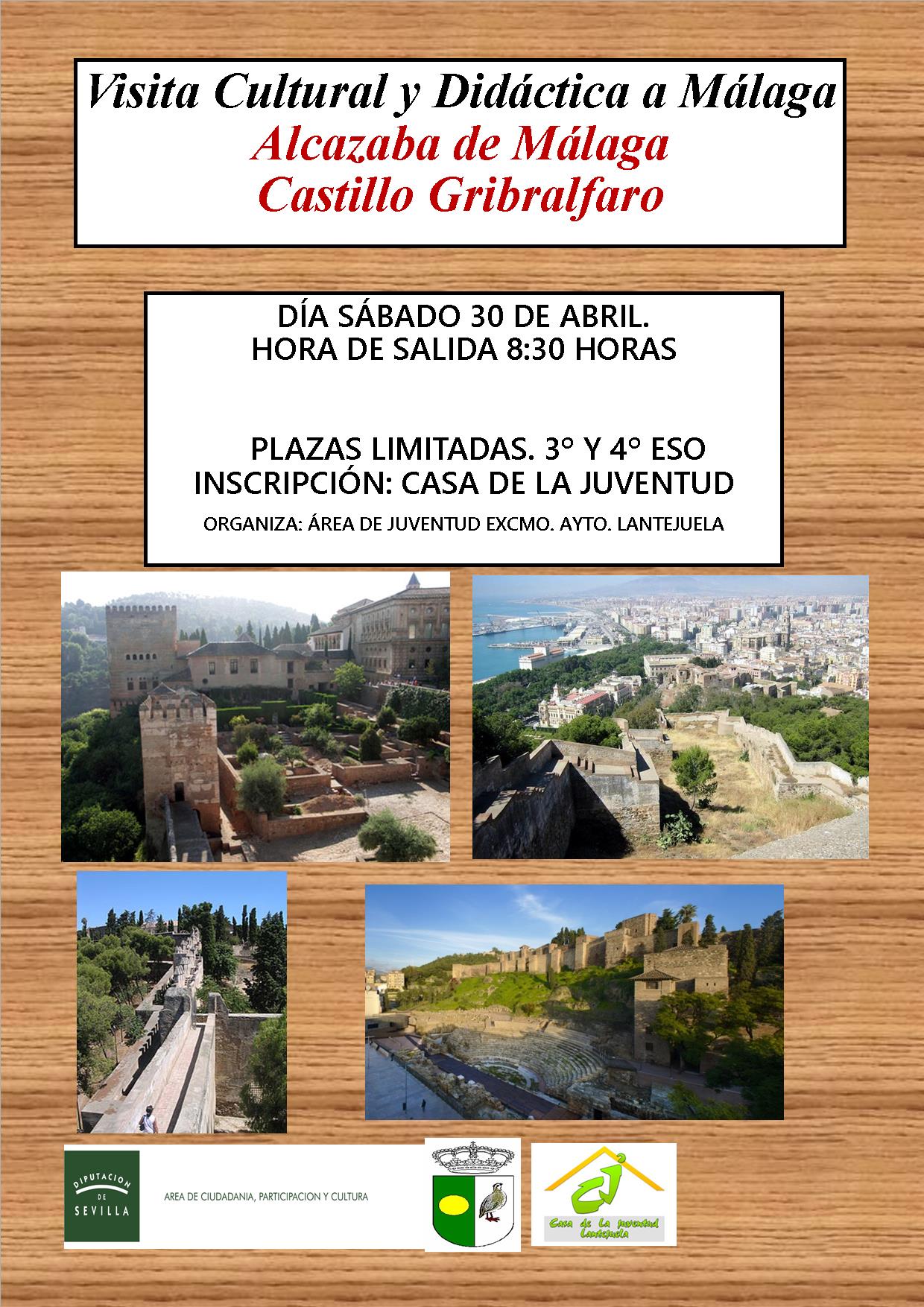 Viaje Cultural y Didactico Málaga