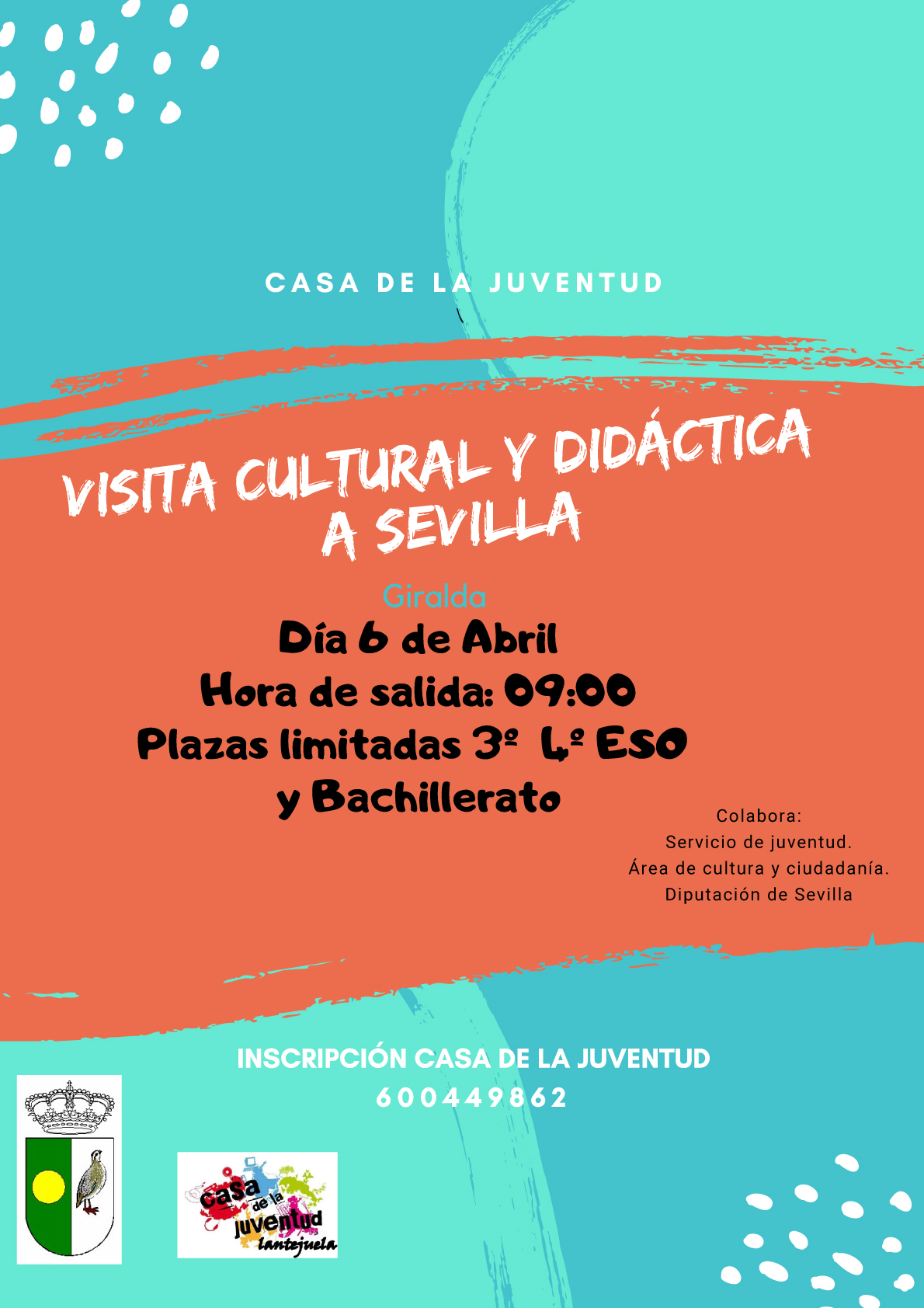 Visita cultural y didáctica a sevilla