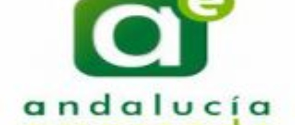 andalucia_emprende_xWeb_portadax.jpg