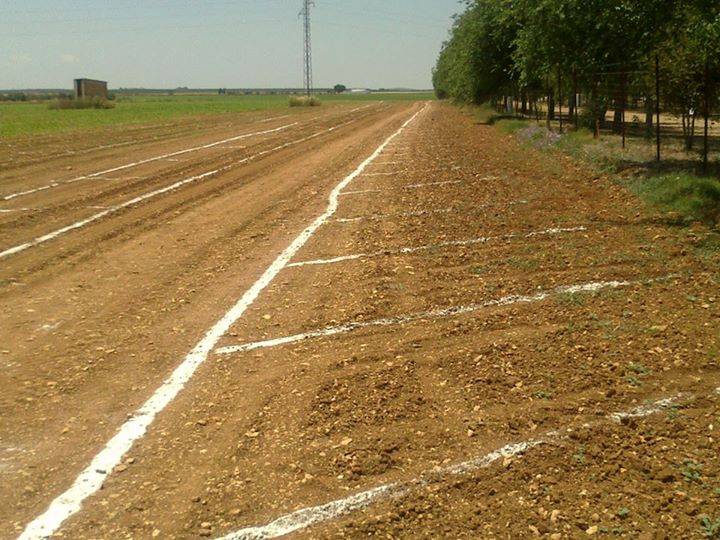 aparcamiento romería