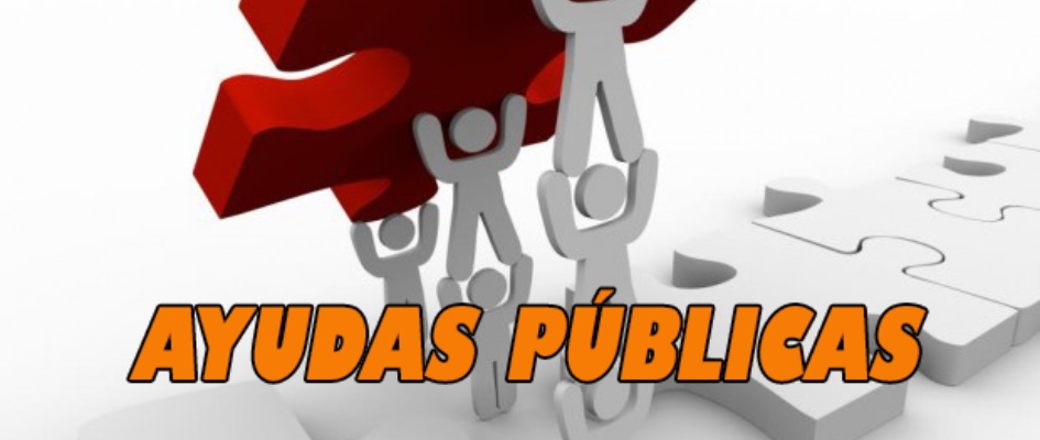 ayudas-publicas.jpg
