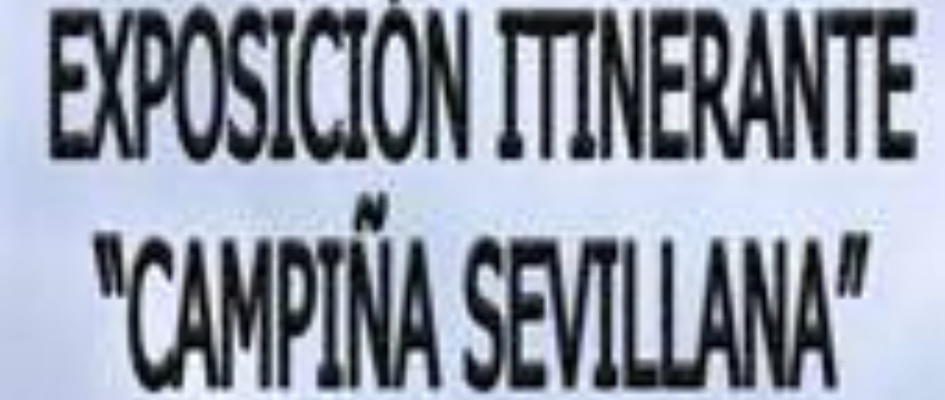 campixa_sevillana.jpg
